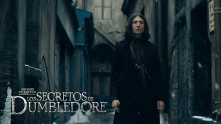 Deleted Scene Credence kills Auror  Fantastic Beasts The Secrets of Dumbledore [upl. by Anolahs]