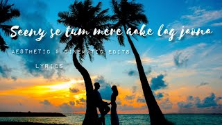 Seene Se Tum Mere Aake Lag Jao Na Lyrics female version❤️ Romantic 😍 WhatsApp Status😘Arijit Singh [upl. by Otter199]