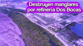 Destruyen manglares para refinería de Dos Bocas sin permisos ambientales [upl. by Gustafson464]