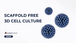 Types of 3D Cell Culture  Scaffold Free 3D Cell Culture [upl. by Ilagam]