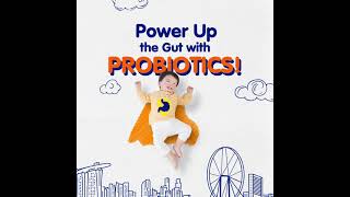 Bifidobacterium lactis  Helps maintain a Healthy Digestive System  40s [upl. by Leontine]