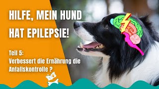 Epilepsie beim Hund 58 Beeinflusst eine ketogene Diät die Anfallskontrolle positiv Verlosung [upl. by Jaf111]