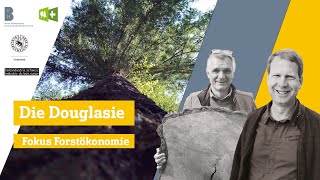 Die Douglasie – Fokus Forstökonomie [upl. by Wehtam]