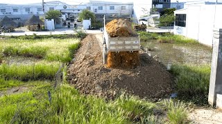 incredible New Activity Project Landfill soil Flooded Area Using KUMATSU D20P And 5Ton Truck [upl. by Hendry]