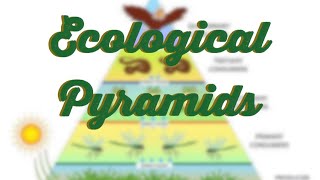 Ecological Pyramids [upl. by Ilonka69]