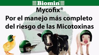 Mycofix®  Por el manejo más completo del riesgo de las Micotoxinas [upl. by Essilevi294]