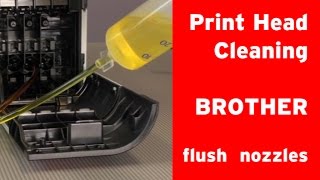 How to clean Brother inkjet printer´s print head clogged nozzles [upl. by Shutz8]