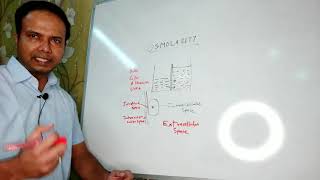 Osmolarity Basics of Shock and electrolyte imbalance Hindi [upl. by Aytida]