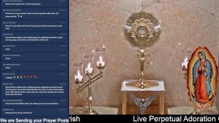 LIVE Perpetual Eucharistic Adoration Spend some Time with Jesus [upl. by Asiuol]