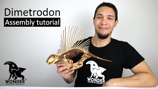 Dimetrodon Model Kit  Assembly Tutorial [upl. by Angle776]