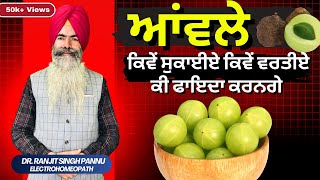 ताजा आंवला लाख का खराब आंवला सवा लाख का  100 Benefits of Aamla By Dr Ranjit Singh Pannu [upl. by Tteltrab]