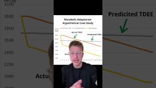 Starvation mode vs metabolic adaptation [upl. by Airelav]