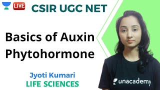 Basics of Auxin Phytohormone  Life Sciences  Unacademy Live  CSIR UGC NET  Jyoti Kumari [upl. by Limay410]