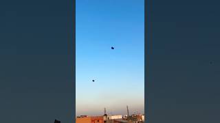 Big kite catching🪁Cutting kite caught on roof Kite looting from rooftop  Flying big kite shorts [upl. by Gnut]