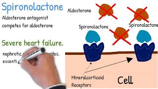 METOPROLOL  What to know before Starting [upl. by Feriga]