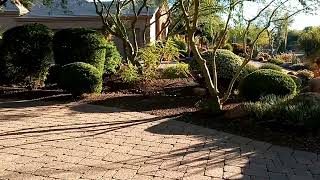 Arizona chucker birds at my winter AZ house [upl. by Soigroeg550]