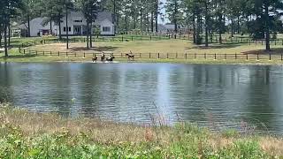 Pine Ridge  Equestrian Community Southern Pines NC  Horse Farms Southern Pines NC [upl. by Alyek]