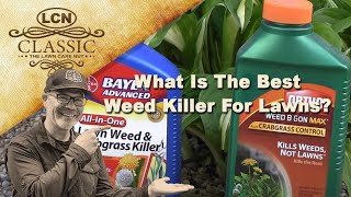 What Is The Best Weed Killer For Lawns  Best Weed Control [upl. by Jahdol]