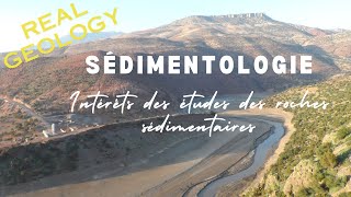 Sedimentology in brief [upl. by Aihsenat203]