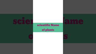 scientific Name of plantsbotanicalgarden [upl. by Anelrihs823]