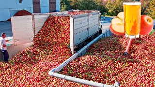 COMO se HACE el JUGO de MANZANA industrial🍎 Como se PRODUCE el ZUMO de MANZANA en las FÁBRICAS [upl. by Donaldson]