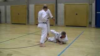 Bunkai Unsu Mawashi am Boden Sensei WolfDieter Wichmann 8 Dan Stefan Olli [upl. by Ailic]