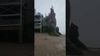 Hopewell Rocks Provincial Park  The Staircase [upl. by Ciapha]