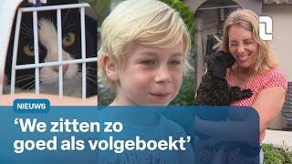 Drukte in het Dierenhotel Niet alleen de baasjes gaan er even tussenuit  L1 Nieuws [upl. by Ravaj925]