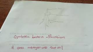 Biology paper 1 KCSE revision Questions and Answers [upl. by Notlaw749]