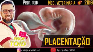 🐶 Aula 4 Placentação Tipos de Placentas  Medicina Veterinária  Ensino Superior PPT 🐶 [upl. by Eldwon]