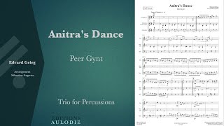 Peer Gynt  Anitras Dance  Edvard Grieg trio for percussions [upl. by Nivrag]