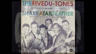 Shake A Tail Feather  The Five DuTones  1963 [upl. by Pier]