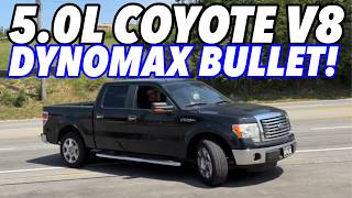 2011 Ford F150 XLT 50L V8 w Dynomax Race Bullet amp Muffler Delete [upl. by Fredric]