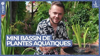 Mini bassin garni de plantes aquatiques  Jardins et Loisirs [upl. by Lexis]