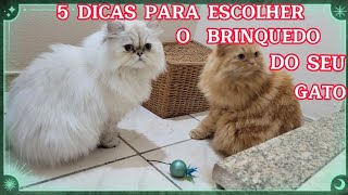 BRINQUEDO para GATOSMostramos o brinquedo do Gato a COR a QUALIDADE e a importância com 5 dicas [upl. by Mortimer]