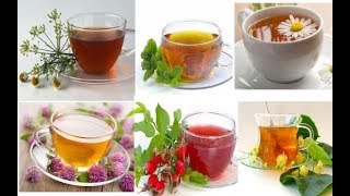 diferente Tipos de infusiones y sus usos para la salud [upl. by Eirroc314]