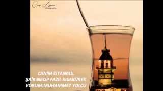 Canım İstanbul ŞiiriNecip Fazıl Kısakürek [upl. by Nosmas]