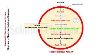 Antitubercular Drug  Mechanism of Action of Isoniazid  Isoniazid  MOA Animation of Isoniazid [upl. by Selia]