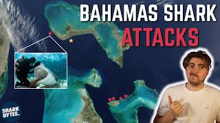 Bahamas Shark Attacks Shark Scientist Opinion [upl. by Amlev296]