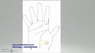 MARRIAGE LINE LOVE MARRIAGE IN PALMISTRY [upl. by Nylsej609]