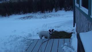 Snow Lockeport NS Dec 1820430 pm [upl. by Barby]