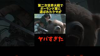 【実話】兵士になった熊ヴォイテク動物 雑学 ヒグマ ヴォイテク [upl. by Ahtamas]