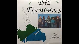 The Flummies  45 Miles From Goose Bay 1988 [upl. by Hallvard]