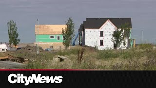 90 homes occupied in Blatchford 15 years after vote [upl. by Dorthea]