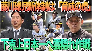 【藤川球児新体制は「育成の虎」】下克上日本一へ雲隠れ作戦 森下、才木侍ジャパン入りへ 阪神タイガース [upl. by Amis101]