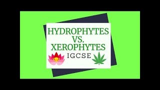 Xerophytes vs Hydrophytes [upl. by Marlea290]