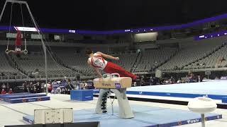 Wyatt Reynolds  Pommel Horse  2024 Xfinity US Championships  Junior Men Day 2 [upl. by Ocin]