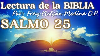 🔔 Biblia Narrada SALMO 25 🔸 Fray Nelson Medina OP [upl. by Nedla995]