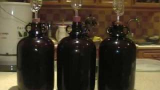 How to Make Wine from Grapes at Home [upl. by Ayvid]