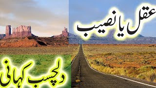 AQAL YA NASEEB AIK DILCHASP KAHANI Sabaq Amoz Urdu Kahani Beutifull Urdu Story Urdu Hindi [upl. by Noelc884]